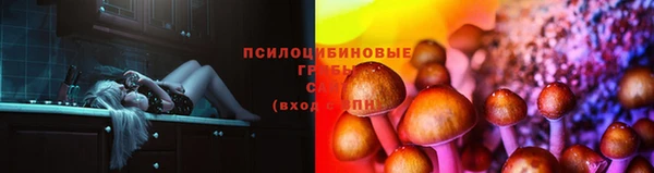 гашик Балабаново