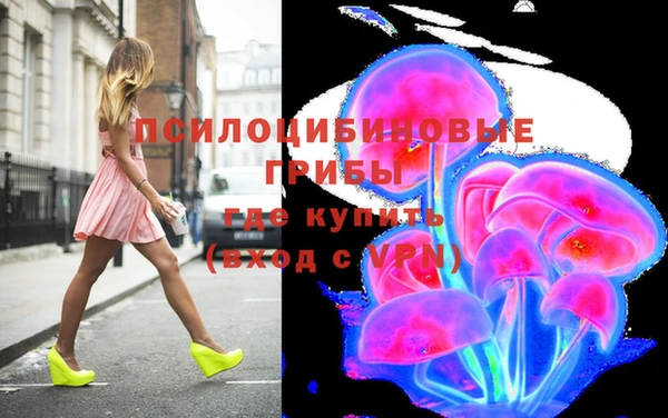 ГАЛЛЮЦИНОГЕННЫЕ ГРИБЫ Баксан