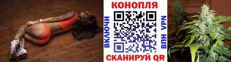Купить где  Миньяр  Конопля индика 